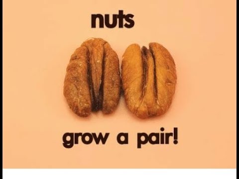 Side Drafting 101: But You Got To Have A Set Of Nuts