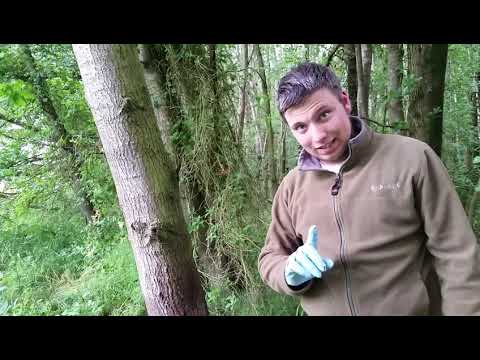 Was machen Jäger im Revier? #Revieralltag