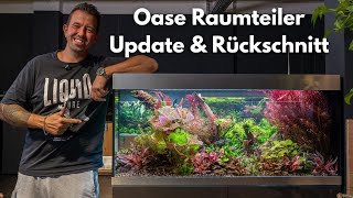 Rückschnitt & Pflege im OASE Raumteiler – so sieht er jetzt aus!