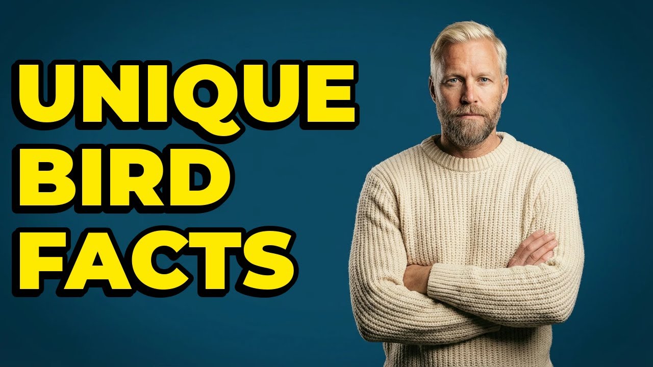 What Makes The Pine Grosbeak A Unique Bird?