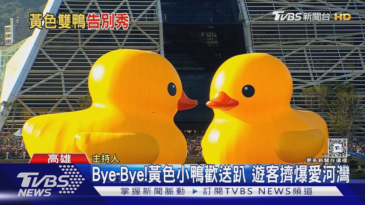 黃色小鴨Bye-Bye!最終日甜蜜合體 遊客擠爆愛河灣