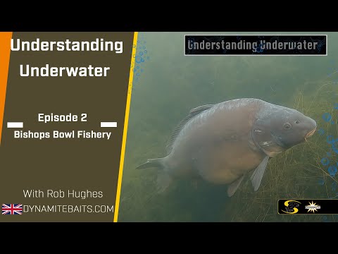 Carp Fishing: Understanding Underwater 2 - PVA special