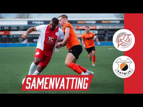 IJsselmeer birds - Katwijk (season 25/26)