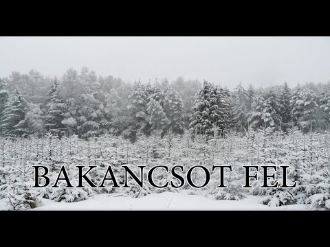Bakancsot fel! - Bükk átkelés túra