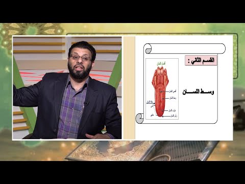 مخارج حروف اللسان برنامج قرآن وقراءات مع فضيلة الشيخ محمد حسن