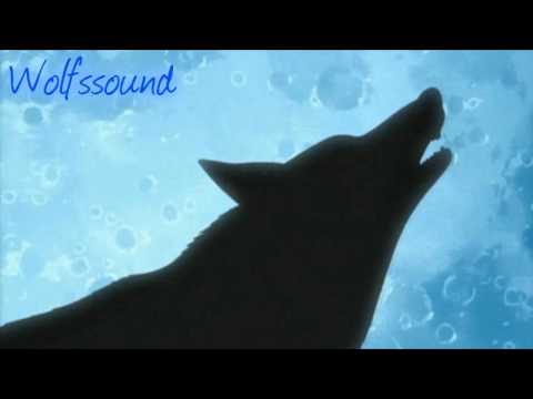 Wolf's Rain Soundtrack - Valse de la lune (with lyrics)