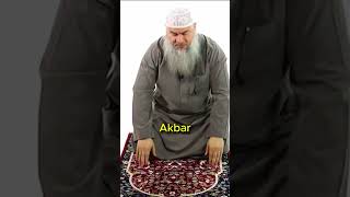 Download lagu Bagaimana cara duduk di antara dua sujud? Salat Nabi ﷺ | dijelaskan oleh Assim Al Hakeem mp3 Download lagu Bagaimana cara duduk di antara dua sujud? Salat Nabi ﷺ | dijelaskan oleh Assim Al Hakeem mp3