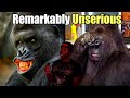 The Ridiculously Random Nature Of The Gorilla