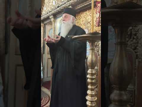 Părintele Damaschin Grigoriatul - cuvânt de folos misiunea ortodoxă din Africa și Muntele Athos