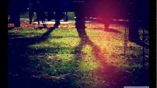 Fennec & Wolf - Silence of the Amps