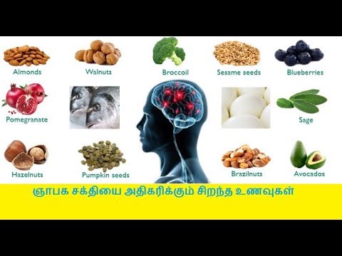 ஞாபக சக்தியை அதிகரிக்கும் சிறந்த உணவுகள்