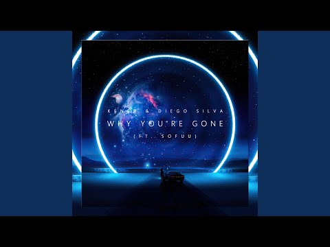 Why You're Gone (feat. Sofuu)