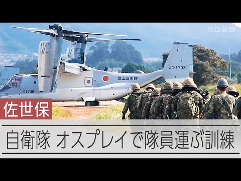 「世界松茸第一村」、刺し身は日本に届くのか？　中国・理想郷の挑戦：朝日新聞