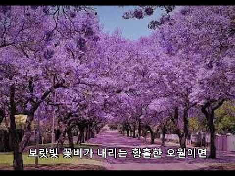 보라빛 꽃 그림자 - 바리톤 박흥우 / 피아노 방수연 / 편곡 이민경