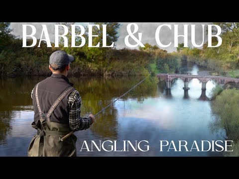 Unbelievable Fishing - Angling Paradise On The River Wye (Incredible River Barbel)