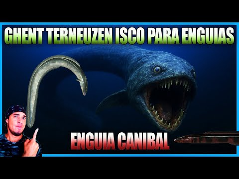 GHENT TERNEUZEN MONSTER EEL BAIT CANNIBAL EEL FISHING PLANET UPDATES #SERIES
