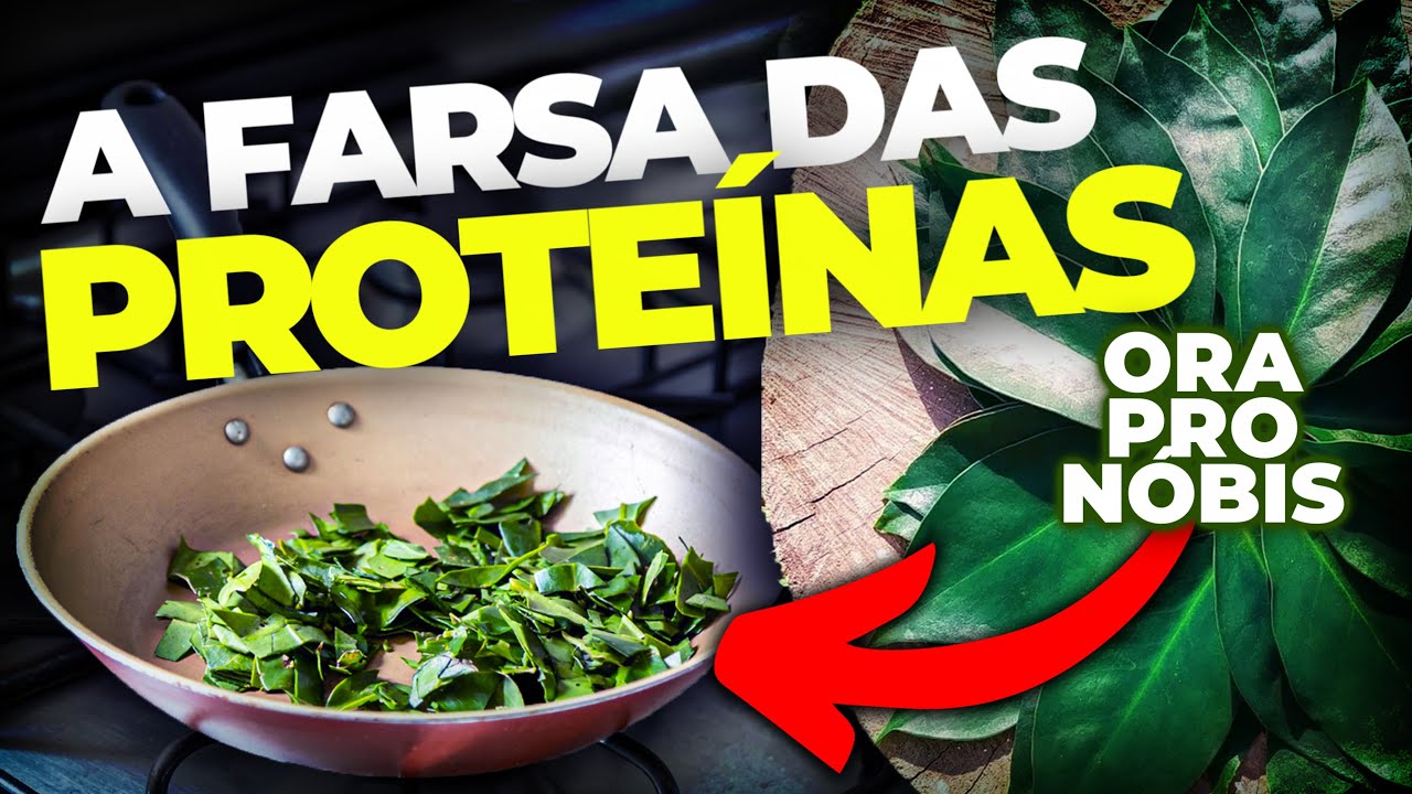 ORA-PRO-NÓBIS: É TÃO BOM QUANTO DIZEM?