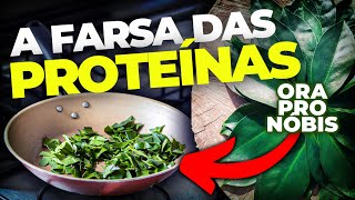 ORA-PRO-NÓBIS: É TÃO BOM QUANTO DIZEM?