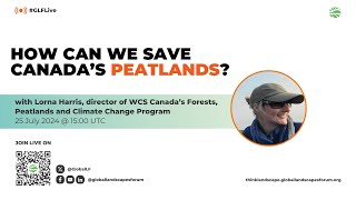 How can we save Canada’s peatlands?