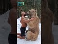 Man's close interaction with huge bear