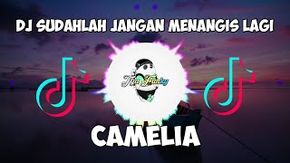 Download Lagu Gratis