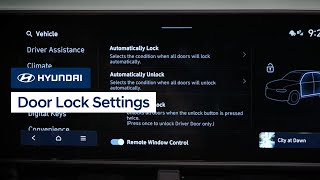 Hyundai Door Lock Settings 