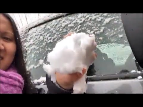 Snow Storm Day 1 Washington State/ Snowmagedon 2021(2/12/21)