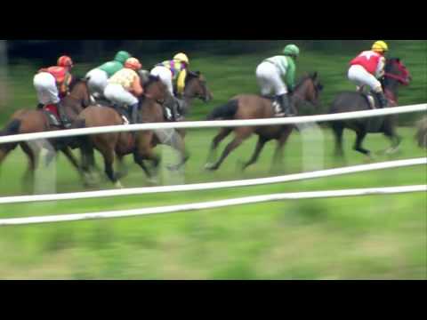 2015.07.11 Derby Trial Stakes (DEN) - Manacor