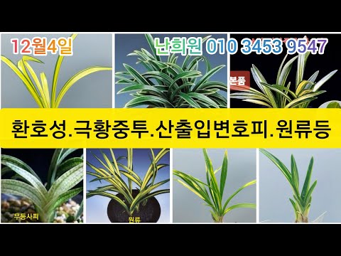 유튜브 썸네일