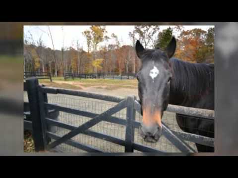 7313 Laurel Brook Lane, Marshall, Virginia