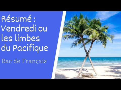 Résumé de Vendredi ou les limbes du Pacifique de Michel Tournier