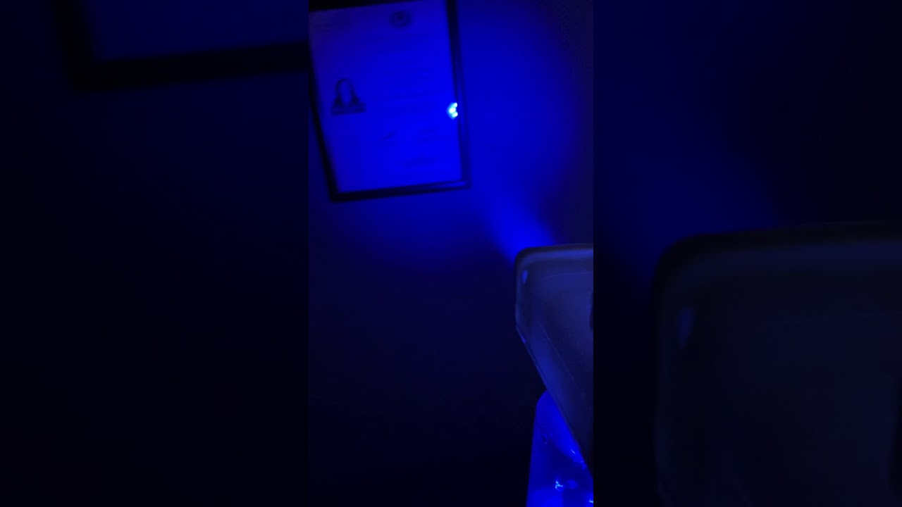 Berenice Aguirre Solorio-28