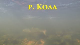 Рыбалка на реке коле мурманской области