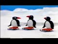 Pingu S First Kiss