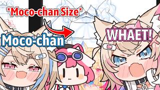 Fuwawa and Raora Keep Teasing Mococo Who Has Different Chest Sizes 【Hololive EN】