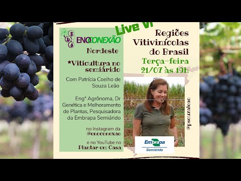 Live Viticultura no Submedio do Vale do São Francisco com Patrícia Coelho de Souza Leão