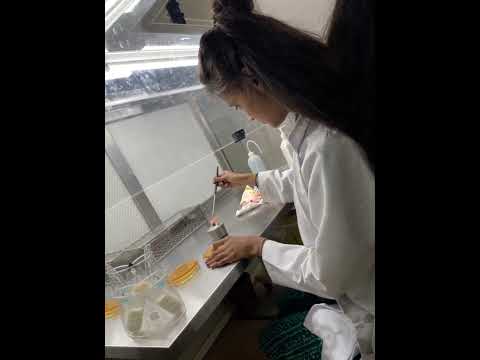 Milk analysis. #microbiology #biotechnology #foodscience #foodmicrobiology