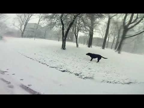 SNOW IN AMSTERDAM - 3 months of FPV | MotorTwist