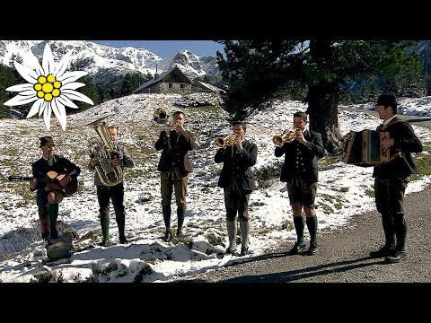 Schwalbenflug | Wetterloch-Blos