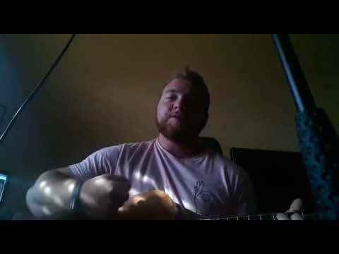 Damien Rice - 9 crimes [cover by Leif Lauxtermann]