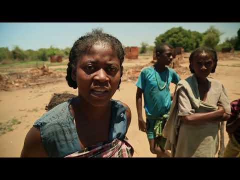 Contre les voleurs de zébus, les militaires sont sans pitié