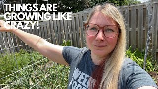 WEEK 24 GARDEN TOUR | Growing food in small spaces