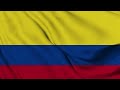 Colombia Flag Waving | Colombian Flag Waving | Colombia Flag Screen