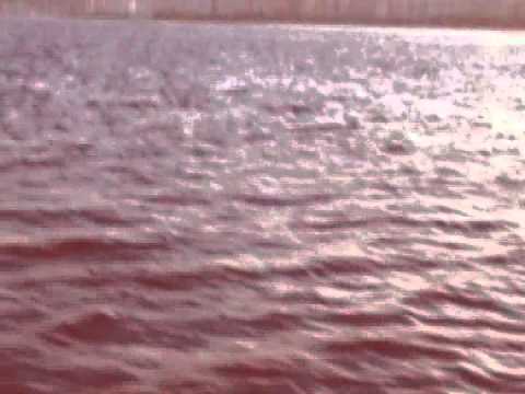 Cibelle - Esplendor Official Video