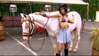 Kingfisher Supermodels: Photoshoot with the horses!