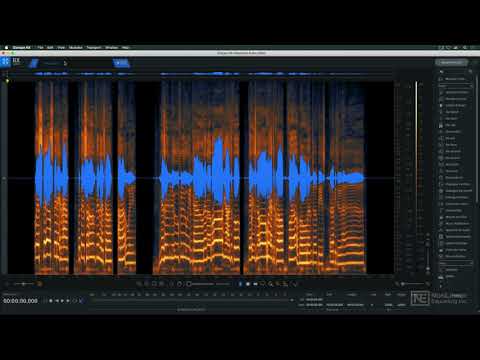 iZotope RX 9 101: iZotope RX 9 101 - RX 9 Video Manual - RX9  the DAW