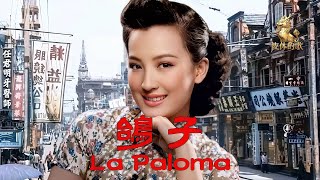 Download lagu 鴿子/西班牙歌曲《La Paloma》 改編🎶周璇原唱(Cover by 皮休的歌)華語經典歌曲 mp3 Download lagu 鴿子/西班牙歌曲《La Paloma》 改編🎶周璇原唱(Cover by 皮休的歌)華語經典歌曲 mp3