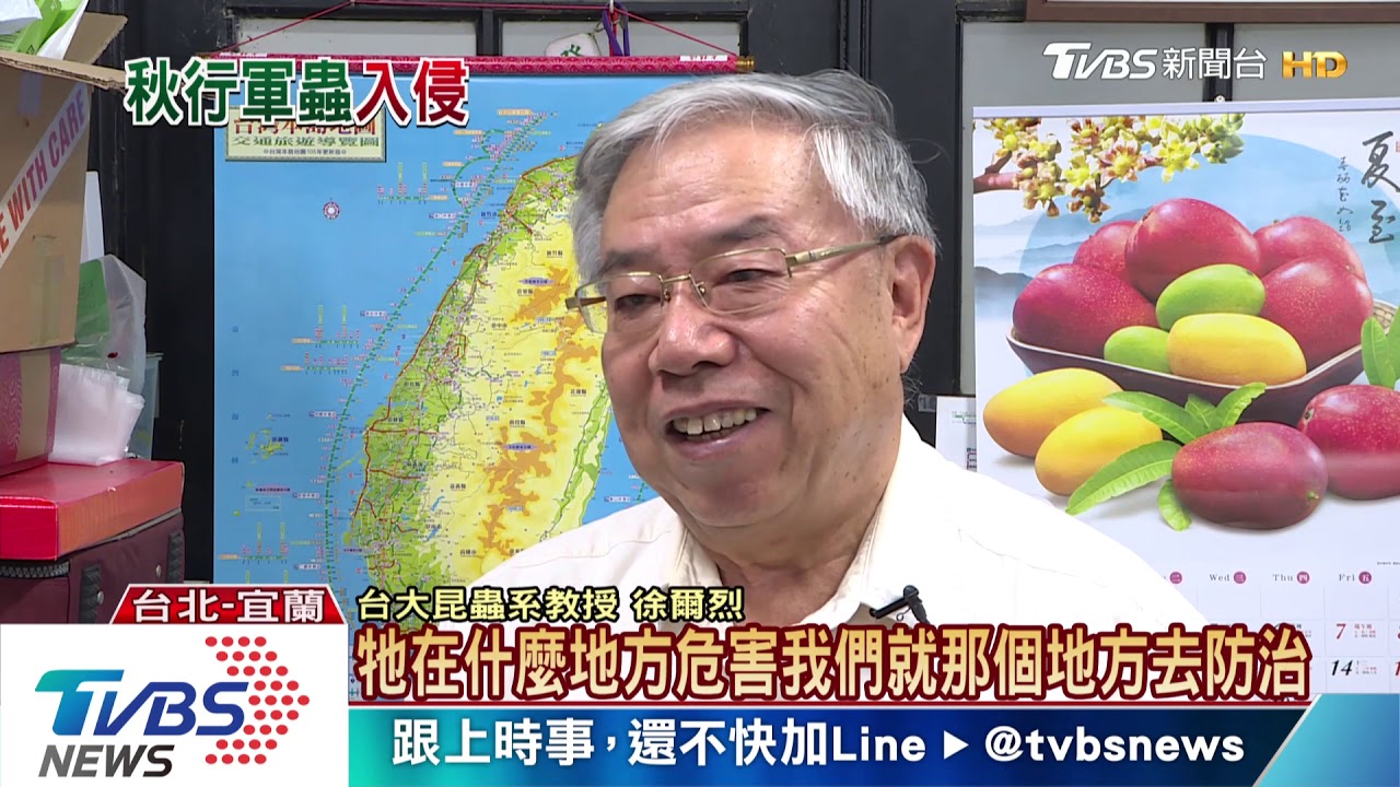 對「玉米」情有獨鍾 秋行軍蟲肆虐恐衝擊作物產量