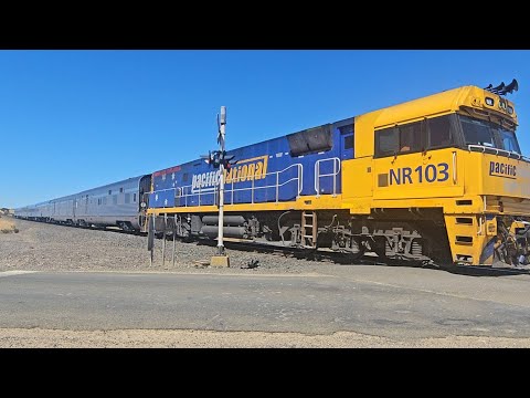 6MA8 down JBRE The Overland (NR103, 7V), Melbourne to Adelaide, 1137, 23/1/26, Ararat South VIC 