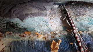 Lethal temps taking effect on bed bug infestation